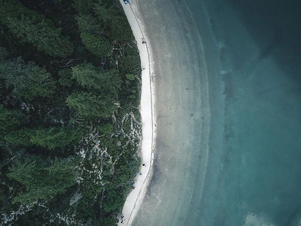 Image & Gallery Block插图4