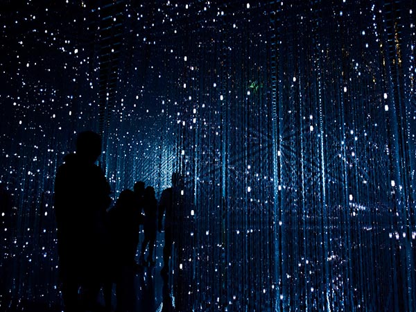 Libero Enim Sedfaucibus Turpis Magna Fermentum Justoeget缩略图